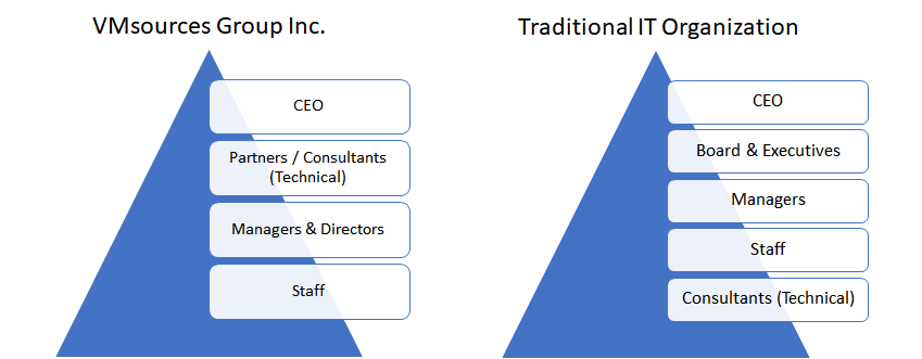 VMsources Professional Differences